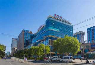 绍兴名师古琴入门培训班